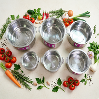 Lot de 8 pots à orchidées en acier inoxydable de 1L à 20L, double couche, épaissis, grande capacité, pour la conservation des fleurs