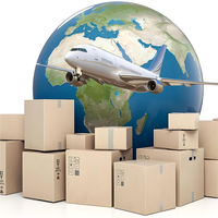 DDP AIR Meilleur service logistique pour l'expédition express de Chine vers l'UE Agent vers transitaire Dropshipping Amazon FBA Porte-à-porte