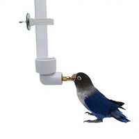 Abreuvoirs modernes pour oiseaux en plastique transparent écologique anti-fuite, capacité de 130 ml
