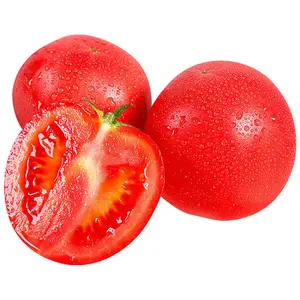 Производитель оптом Овощной порошок органический томатный порошок с лучшей ценой