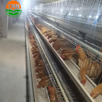 Offre Spéciale 96 / 160 oiseaux 3/4 couches système de cages d'alimentation de poulet de volaille