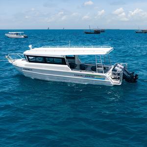 Bote <span class=keywords><strong>de</strong></span> aluminio Gospel <span class=keywords><strong>de</strong></span> 9 m (30 pies) con cabina, pontón Easy Craft, motor <span class=keywords><strong>de</strong></span> gasolina para <span class=keywords><strong>pesca</strong></span>, en venta - Product Image 6