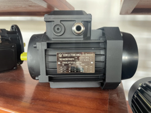 Générateur alternatif asynchrone triphasé à faible régime MS90L-4 1,5 kW 2 CV 1460 tr/min, moteur électrique à induction triphasé - Product Image 5