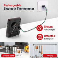 Thermomètre de cuisson numérique Bluetooth haute qualité à double sonde pour barbecue