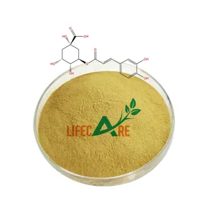 Lifecare Supply Cosmetic Ingredients Honeysuckle Extract High Quality Honeysuckle Extract