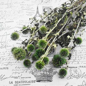 <span class=keywords><strong>Echinops</strong></span> Secos y Preservados al por Mayor para Decoración de Ramos de Flores, Globos de Flores Secas, Cardos - Product Image 4