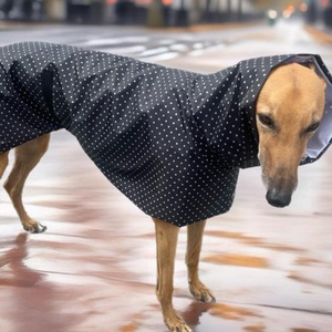 Qiqu personalizado nuevo diseñador de lujo perro impermeable chaqueta a prueba de viento ligero <span class=keywords><strong>galgo</strong></span> impermeable - Product Image 1