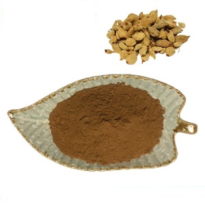 Fuente de fábrica <span class=keywords><strong>Prunus</strong></span> Persica Fruit-Polvo de extracto inmaduro con el mejor precio - Product Image 1