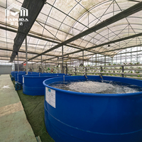 Système d'aquaponie en serre clé en main commercial, kit complet pour l'élevage biologique de poissons et de légumes