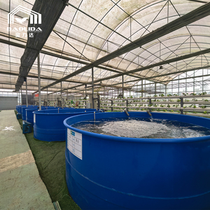 Système d'aquaponie en serre clé en main commercial, kit complet pour l'élevage <span class=keywords><strong>biologique</strong></span> de poissons et de légumes - Product Image 3