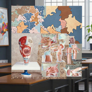 Modèle anatomique médical du nez, de la bouche, du pharynx et du larynx, modèle d'enseignement scientifique médical - Product Image 3