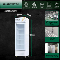 Réfrigérateur vitrine 1 porte pour bouteilles, présentoir ouvert, refroidisseur de bière pour bar, équipement de stockage pour supermarchés