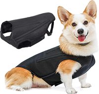 NIBAO – orthèse dorsale pour chiens, le protecteur de dos d'arthrite aide à soulager la douleur, récupération chirurgicale et rééducation