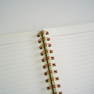 Taccuino con marchio personalizzato A5 con copertina rigida quaderno blu pelle sintetica con 100gsm grande stile a spirale - Product Image 6