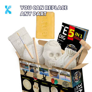 ปรับแต่งโลโก้5ใน1ขุดชุดพระธาตุที่จะค้นพบเพียงแค่ขุดมันออกสมบัติโจรสลัดของเล่นสำหรับเด็ก - Product Image 6