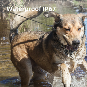 IP67 peredam kejut anjing elektrik isi ulang tahan air kalung kejut anjing gonggongan dan pengendali jarak jauh dengan tali latihan pintar - Product Image 6