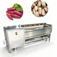 Hoge kwaliteit aardappel- en taro-was- en schilmachine, multifunctionele borstelrol fruit- en groentewasser en -schiller
