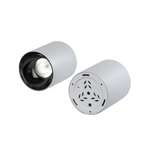 Projecteur LED COB encastré étanche IP65 pour plafond, 10W, 15W, 20W, vente en gros