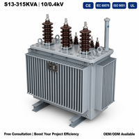 Transformateur immergé dans l'huile à enroulement en cuivre entièrement scellé S13 315 kVA 10 kV/0,4 kV triphasé à économie d'énergie certifié CE IEC 60076 ISO 9001