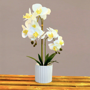 Vendeur chaud Real Touch fleurs d'orchidées artificielles pour la décoration <span class=keywords><strong>de</strong></span> la maison <span class=keywords><strong>Pot</strong></span> <span class=keywords><strong>Culture</strong></span> déc. Fleurs artificielles dans des pots décoratifs - Product Image 4