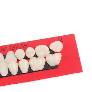 Prótesis Dentales Prácticas para Laboratorio Dental o Uso Educativo - Product Image 2