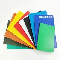Feuille de plastique à double paroi cannelée, fabricant OEM, Chine, Vietnam, fournisseur