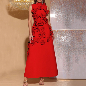 Collection Été 2025 Robe de Bal de Haute Qualité Col Montant Plissée Dentelle Florale Taille Empire Longueur Ras du Sol - Product Image 5