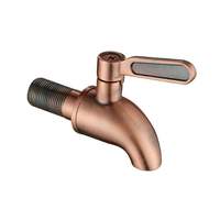 Robinet purificateur d'eau en laiton au design moderne avec distributeur à noyau en céramique pour vin, bière, boissons et autres.