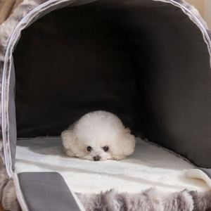 Lit pour animaux de compagnie de luxe haut de gamme, écologique, durable, doux, en peluche de lapin, rembourrage en polyester, tissu moulé, moderne et tendance - Product Image 5