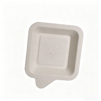 Assiette à gâteau jetable en bagasse 100 % biodégradable pour la rentrée scolaire