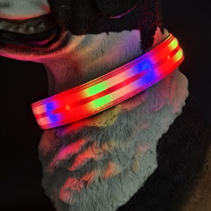 Waterdicht Knipperend Licht Op Pet Kraag Usb Type-C Herladen Luxe Verstelbare <span class=keywords><strong>Led</strong></span> Hond Lichtgevende Halsband Voor Hond - Product Image 2