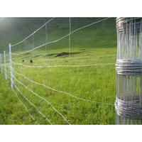 Clôtures galvanisées pour chevaux et moutons, panneaux de clôture antirouille pour l'agriculture, système de pâturage portable
