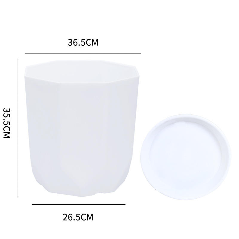 Anis nain + plateau [Grand blanc/gris/noir]