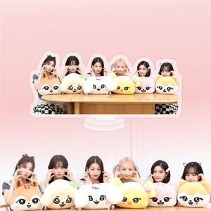 Standee Acrílico Transparente de IVE POP-UP MINIVE WONYOUNG, Ídolo de KPOP, Diseño de Dibujos Animados - Product Image 5