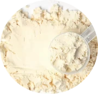 Complément nutritionnel à marque privée OEM, à base de plantes, biologique, végétalien, poudre de protéines de riz, super aliment, enzymes digestives, 240g/bouteille