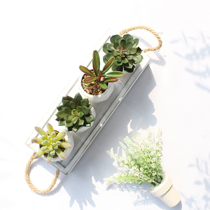 OFFERTA SPECIALE Set di 4 Piccoli <span class=keywords><strong>Fiori</strong></span> Artificiali di Succulente <span class=keywords><strong>Rosa</strong></span> in Vaso di Ceramica Bianca con Materiale PE per Decorazione Ufficio - Product Image 4