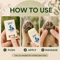 Baume naturel pour les pattes et le nez des chats et des chiens avec beurre de karité, huile de noix de coco, emballage plastique sûr, design de dessin animé, étiquette personnalisée, plus boîte