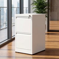 Armoire de classement mobile en métal à 2 tiroirs avec serrure à 3 points, design moderne, utilisation commerciale