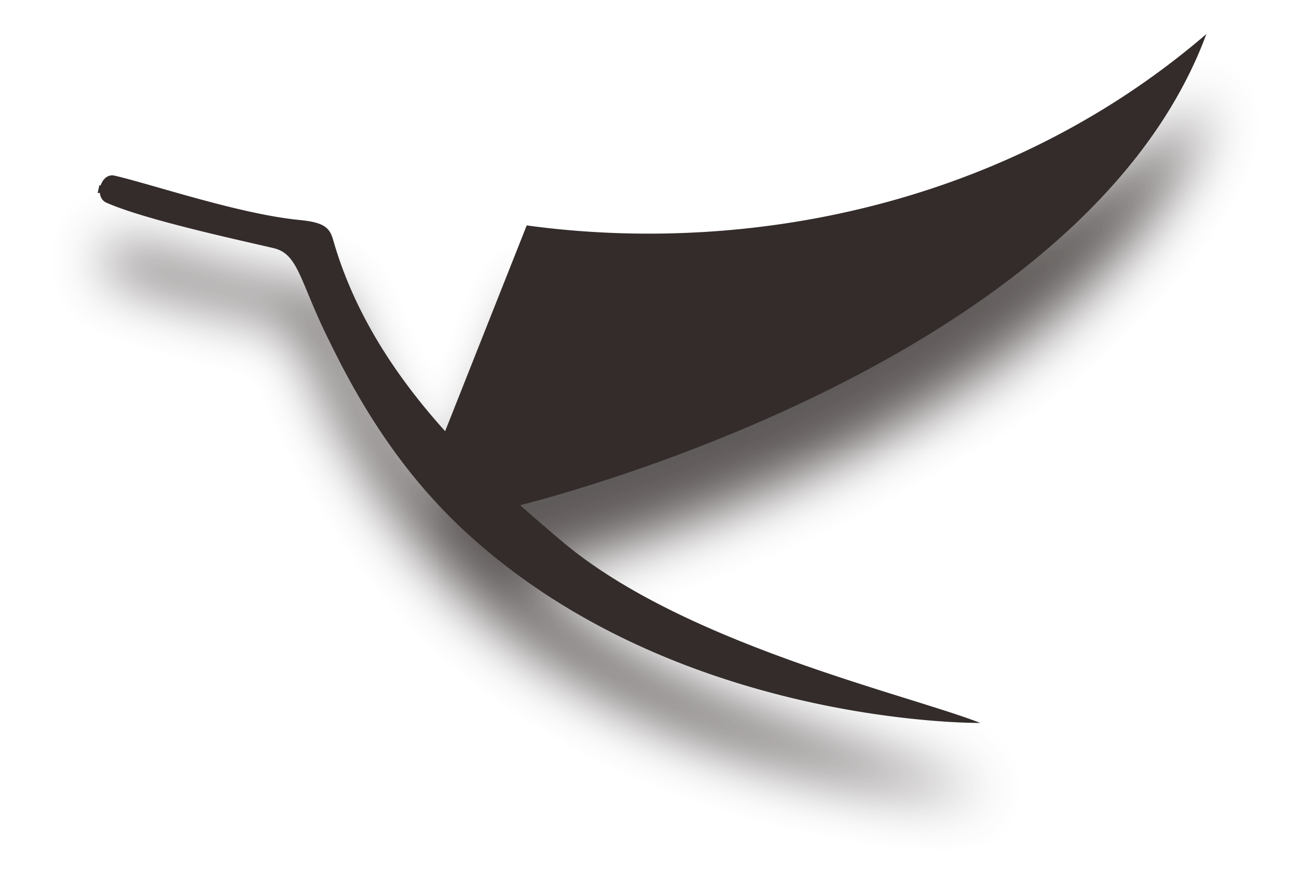 Jinjiang Fashion Trade Co., Ltd. logo