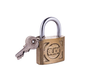 Candado de Hierro Sólido Samhoo de Alta Calidad de 30 40 50 60 70 mm, Candado de Seguridad Superior con Llave, Desbloqueo con Logotipo Personalizado, Antirrobo - Product Image 2