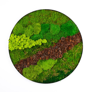 Cadre mural décoratif en mousse de renne naturelle véritable préservée, forme ronde, taille personnalisée <span class=keywords><strong>60</strong></span> cm, pour la décoration de la <span class=keywords><strong>maison</strong></span> - Product Image 3
