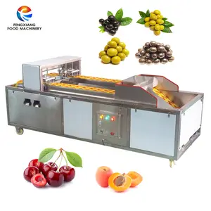 CE APPROVAL Fruit stoner, fruit stone removing machine, fruit destoner