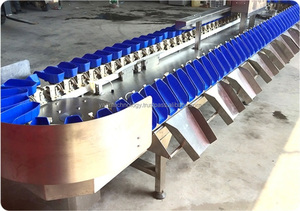 เครื่องคัดแยกน้ำหนักกระเทียมอัตโนมัติเครื่องคัดแยกกุ้งกุลาดำหอยนางรมหอยนางรมหอยเป๋าฮื้อเพื่อการค้า - Product Image 4