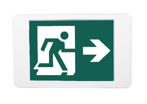 Thị trường Canada nhựa dẫn lối thoát hiểm khẩn cấp với cho được liệt kê có thể sạc lại ánh sáng khẩn cấp 90-PHÚT pin dự phòng - Product Image 3