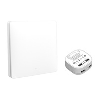 KLASS Standard Tuya Smart Life Touch Switch USA Contrôle tactile intuitif Expérience de maison intelligente sans effort American 433 PC 220V 1G