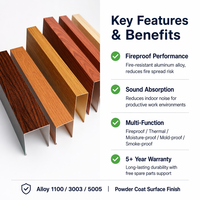 Dalles de plafond acoustiques en aluminium imitation bois, ignifuges, insonorisées, isolantes thermiquement et anti-humidité, très vendues