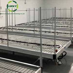 Mesa de cultivo de flujo y reflujo ajustable grande comercial, Banco rodante hidropónico, invernadero con rieles de enrejado - Product Image 2