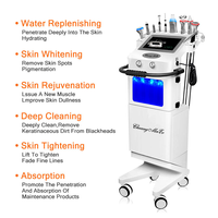 Appareil de beauté multifonctionnel à jet d'eau et d'oxygène, peeling aqua facial, microdermabrasion pour salon de beauté