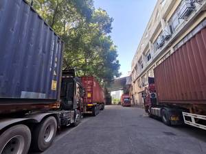 Tè Verde Chunmee 41022 Rakim <span class=keywords><strong>the</strong></span> Vert Fabbrica di Tè del <span class=keywords><strong>Deserto</strong></span> Algerino Vendita all'Ingrosso - Product Image 5