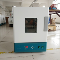 Hot Sale Air Drying Cabinet Digital Temperature Control Heating Chamber for Medical Laboratory Pharmaceutical Industrial Use